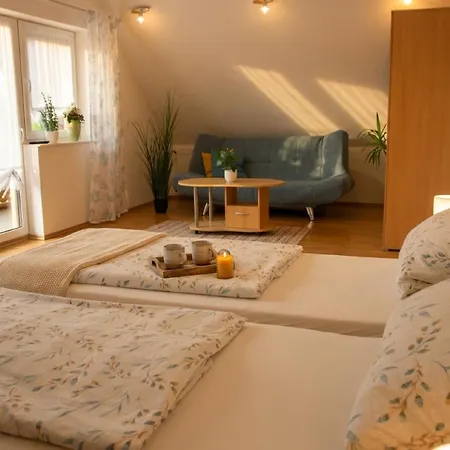 Haus Ziegler Daire *