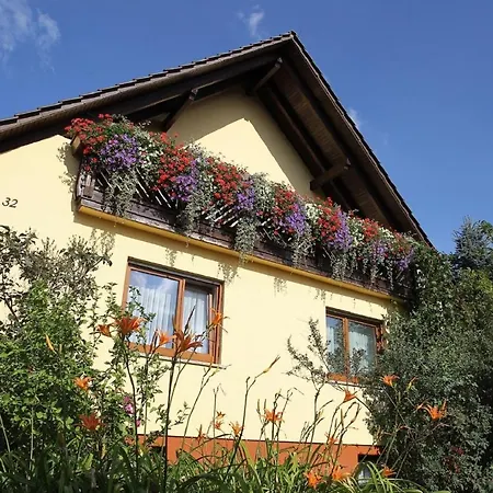 Haus Ziegler Apartman Kolitzheim
