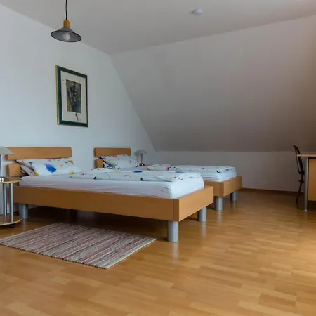 Haus Ziegler דירה